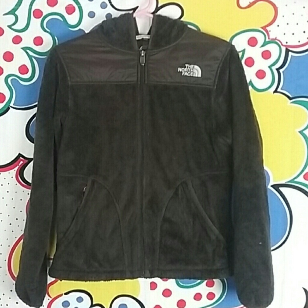 The north face jacket